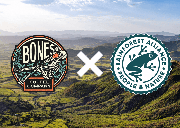 Single Origin: Ethiopia